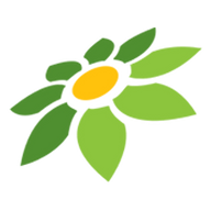 INSTAGRAM VECTOR PNG